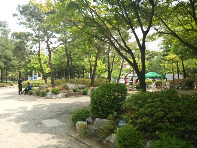 金剛児童公園の風景